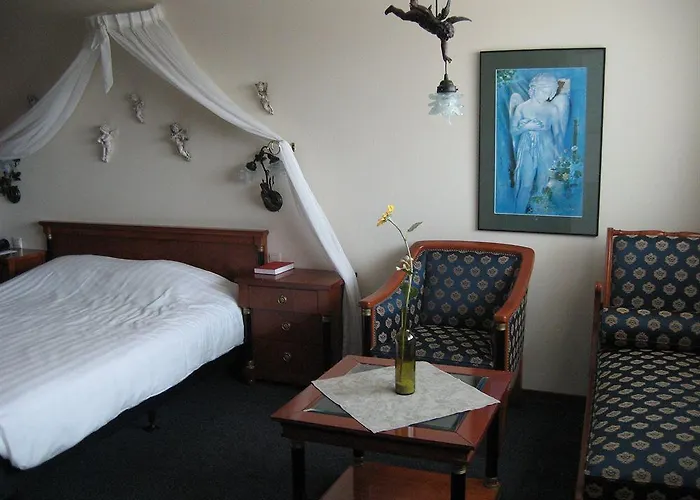 De Druiventros Hotel