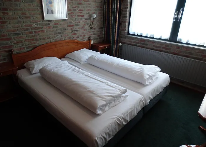 De Druiventros Hotel