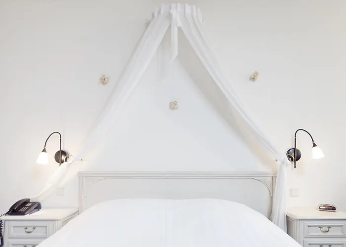 De Druiventros Hotel